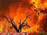 آتش سوزی مهیب در جنگل های روستای خاتون آباد و‌ کلاب صوفیان از توابع بخش مرکزی جیرفت/ زمزمه عمدی بودن آتش سوزی برای تصرف و سوء استفاده از زمین های جنگل