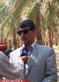 رییس سازمان جهاد کشاورزی جنوب کرمان خبر داد: خرما در جنوب کرمان با روش مکانیزه برداشت شد