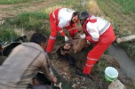 مرگ دو نفر در ساردوییه بر اثر صاعقه / تصاویر