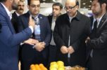 نمایشگاه توانمندیهای بخش کشاورزی جنوب کرمان در تبریز برپا شد/ تعجب بازدیدکنندگان از تنوع محصولات