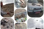 ‍ دستگیری دوگروه متخلف شکار و زنده گیری پرندگان وحشی در ساردوئیه
