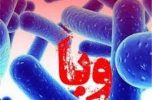 ۲نفر تبعه بیگانه مبتلا به بیماری وبا در جنوب کرمان شناسایی و تحت درمان قرار گرفتند
