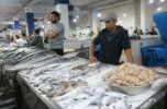 تنوع بی نظیر ماهی در بازار ماهی فروشان بندرعباس / تصاویر