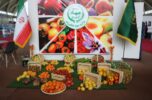 سفره رنگین محصولات جنوب کرمان در غرفه وزارت جهاد کشاورزی