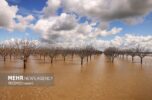 احتمال وقوع سیلاب در جنوب کرمان