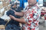 رئیس اتحادیه بارفروشان: عدم رعایت بهداشت مانع آبگیری انگور و لیمو شد