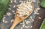 کشف ۱۴ میلیارد ریال بذر تقلبی خیار سبز در جیرفت