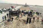 ۳٠ هزار نهال جنگلی و بیابانی در جنوب کرمان کاشته شد