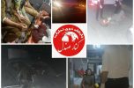 تکرار داستان حادثه آفرینی قاچاق انسان در جادههای جنوب استان / دیشب واژگونی پژو ۴۰۵ حامل اتباع خارجی با ۲ فوتی و ۱۲ مصدوم تکرار داستان حادثه آفرینی قاچاق انسان در جادههای جنوب استان / دیشب واژگونی پژو ۴۰۵ حامل اتباع خارجی با ۲ فوتی و ۱۲ مصدوم