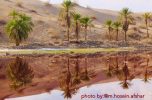 آبسرخ جازموریان در کانون توجه محیط زیست کشور آبسرخ جازموریان در کانون توجه محیط زیست کشور