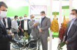 حضور استاندار کرمان در غرفه کشت و صنعت جیرفت در نمایشگاه بین المللی اوراسیا حضور استاندار کرمان در غرفه کشت و صنعت جیرفت در نمایشگاه بین المللی اوراسیا