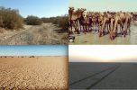 مطالبه مردم جنوب کرمان از رئیس جمهور در آستانه سفر قریب الوقوع هیات دولت به استان مطالبه مردم جنوب کرمان از رئیس جمهور در آستانه سفر قریب الوقوع هیات دولت به استان