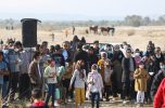 همایش پیاده روی خانوادگی در روستای دولت آباد سهامی برگزار شد / تصاویر همایش پیاده روی خانوادگی در روستای دولت آباد سهامی برگزار شد / تصاویر