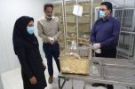 ۲ طرح تحقیقاتی پزشکی در لانه حیوانات جنوب کرمان کلید خورد ۲ طرح تحقیقاتی پزشکی در لانه حیوانات جنوب کرمان کلید خورد