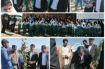 ۱٠٠ اصله نهال در شهرک صنعتی شماره ۲ جیرفت غرس شد ۱٠٠ اصله نهال در شهرک صنعتی شماره ۲ جیرفت غرس شد