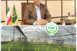 تولید بیش از ۱۲ میلیون نشاء انواع فلفل و گوجه فرنگی در گلخانه های تولید نشاء جنوب کرمان تولید بیش از ۱۲ میلیون نشاء انواع فلفل و گوجه فرنگی در گلخانه های تولید نشاء جنوب کرمان