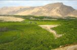 رئیس اداره منابع طبیعی و آبخیزداری شهرستان :رفع تصرف بیش از ۱٠٠٠ مترمربع از اراضی ملی شهرستان جیرفت رئیس اداره منابع طبیعی و آبخیزداری شهرستان :رفع تصرف بیش از ۱٠٠٠ مترمربع از اراضی ملی شهرستان جیرفت