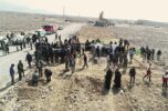 ۳٠ هزار نهال جنگلی و بیابانی در جنوب کرمان کاشته شد ۳٠ هزار نهال جنگلی و بیابانی در جنوب کرمان کاشته شد