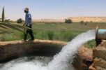 درخواست تعدادی از نمایندگان مجلس از وزارت نیرو؛برق چاههای کشاورزی را قطع نکنید درخواست تعدادی از نمایندگان مجلس از وزارت نیرو؛برق چاههای کشاورزی را قطع نکنید