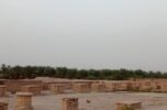 ثبت جهانی دقیانوس جیرفت در معرض خطر ثبت جهانی دقیانوس جیرفت در معرض خطر