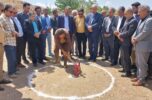 همزمان با هفته دولت پروژه های عمرانی در بخش ساردوئیه شهرستان جیرفت افتتاح و کلنگ زنی شد/تصاویر همزمان با هفته دولت پروژه های عمرانی در بخش ساردوئیه شهرستان جیرفت افتتاح و کلنگ زنی شد/تصاویر