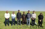 وضعیت بحرانی جازموریان زیر ذره‌بین محققان / تدوین گزارش برای احیای تالاب