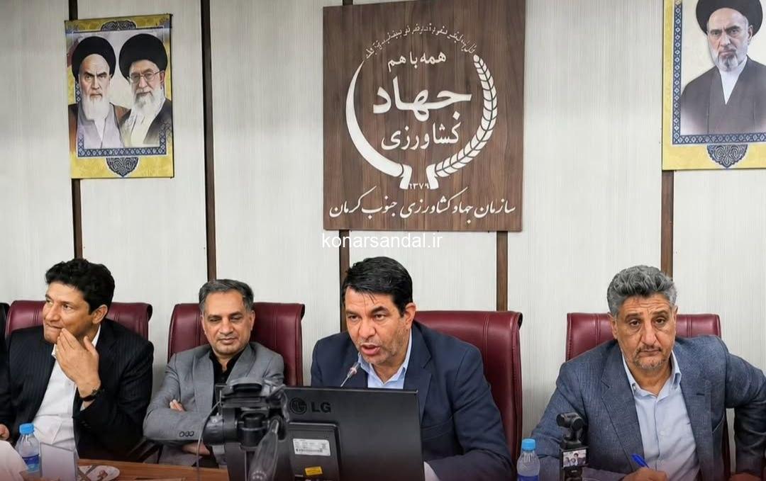 استاندار کرمان: به جای هزینه خرید تضمینی و امحا، صنایع تبدیلی راه اندازی شود/تصاویر