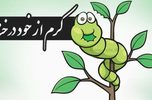 کرم از خود درخت هست, آدرس غلط ندهیم/مصیب سالارپور